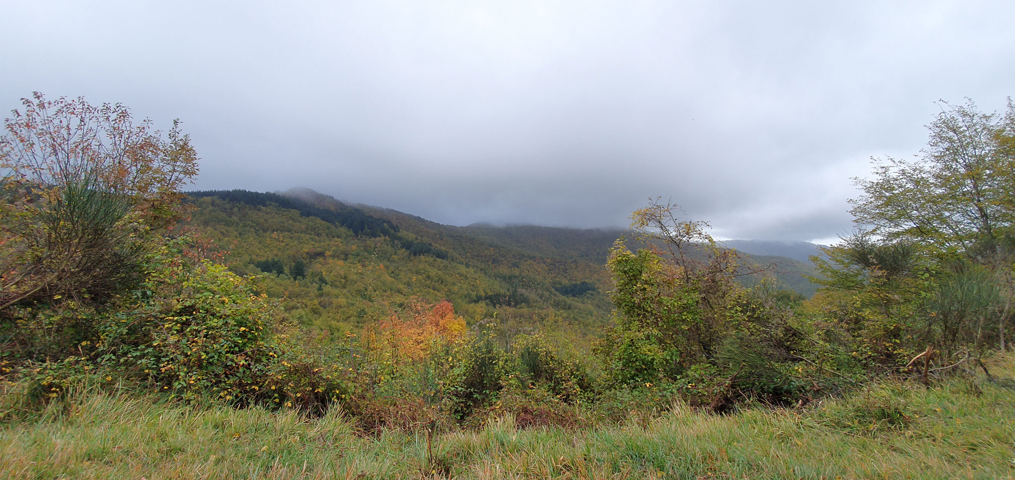 La Faggiola - Paesaggio Autunno