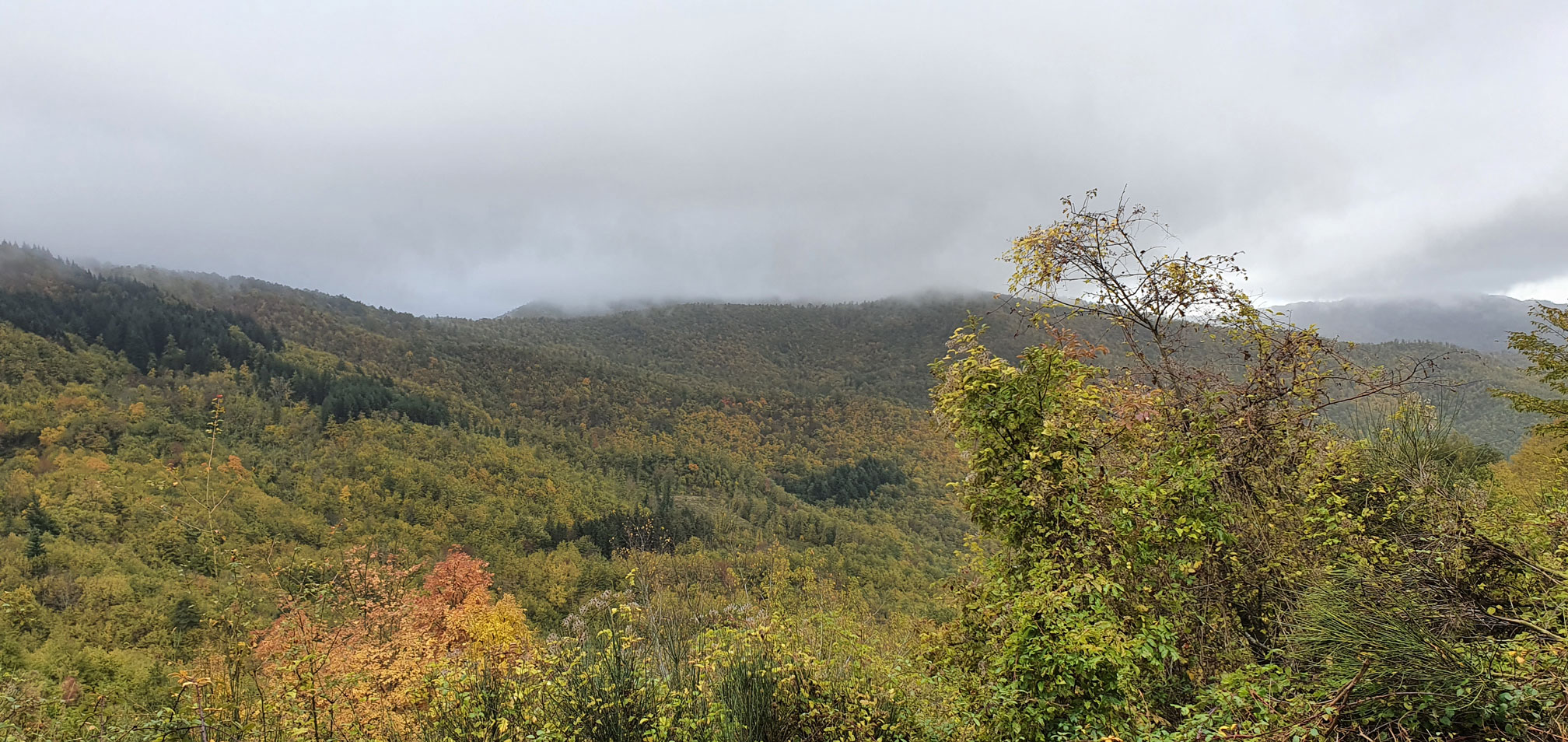 La Faggiola - Paesaggio Autunno