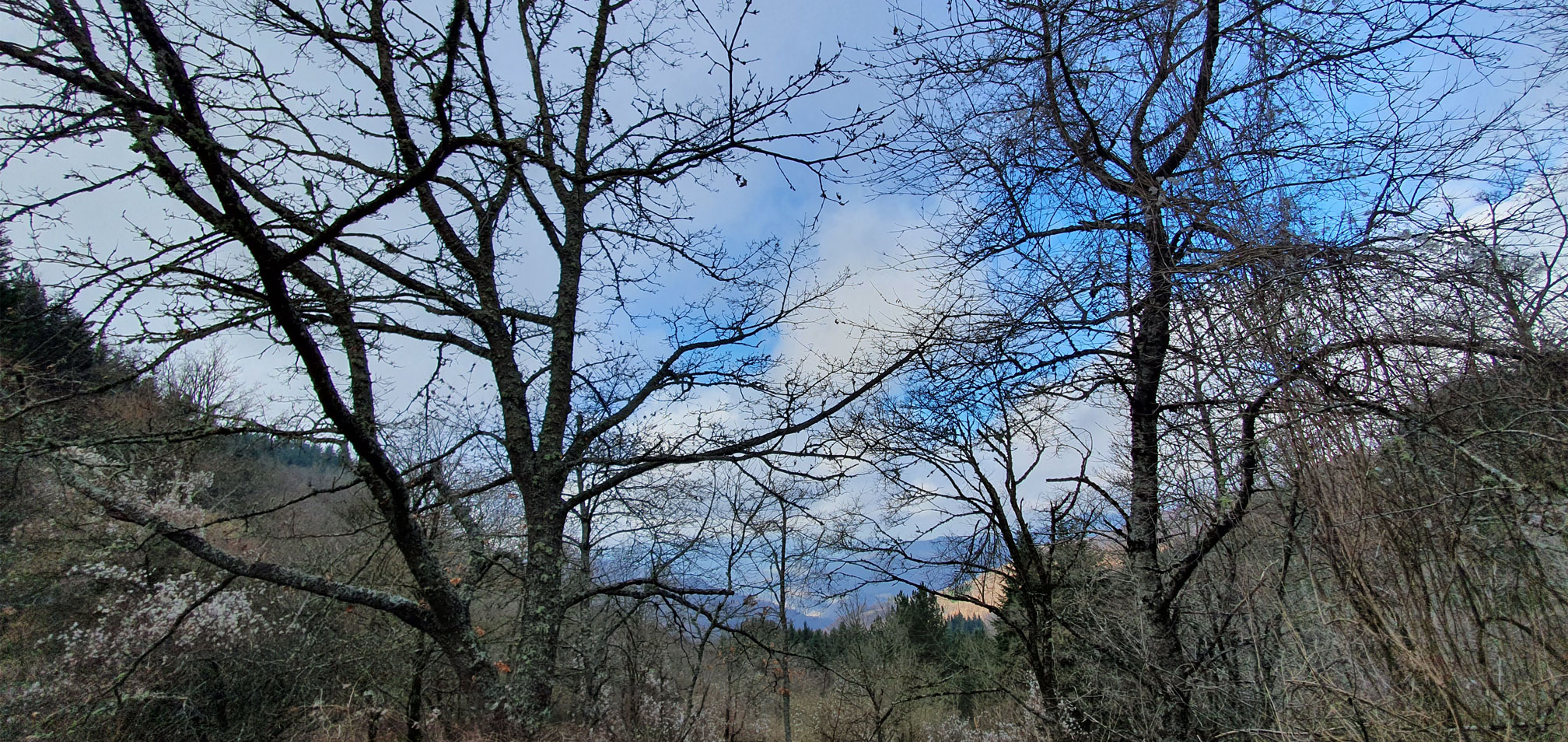 La Faggiola - Panorama