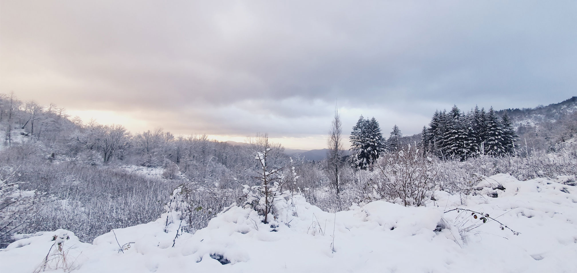 La Faggiola - Panorama Invernale